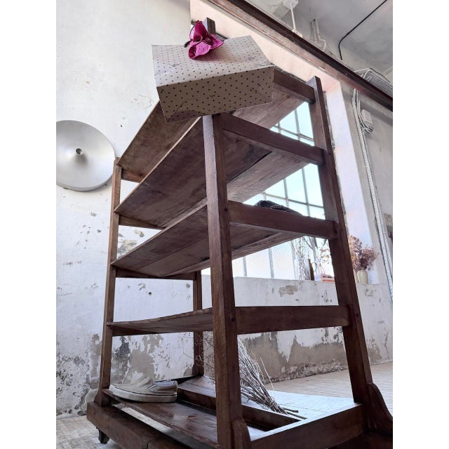 Antique Bakery Shelf, 1950s For Sale - Image 17 of 18