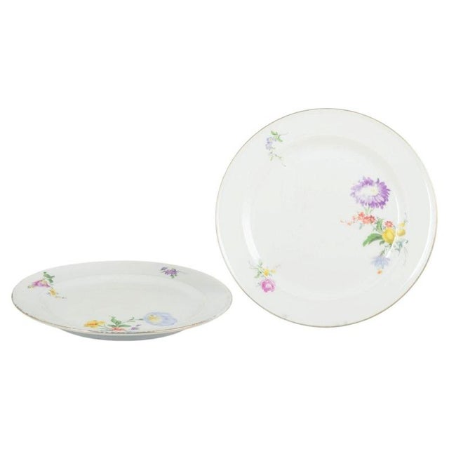 2000 - 2009 Porcelain Plates with Floral Motifs from Meissen, Germany, Set of 2 For Sale - Image 5 of 5