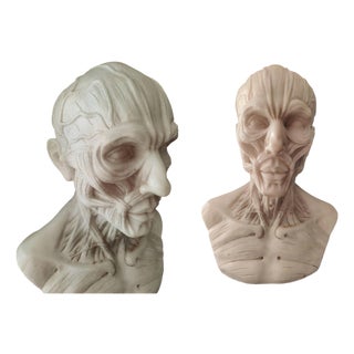 After Houdon, Anatomical Bust, Carrara Marble For Sale