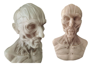 After Houdon, Anatomical Bust, Carrara Marble