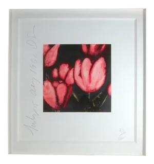 Donald Sultan, Flowers