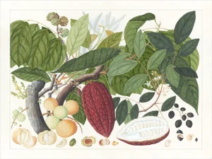 Golden Tropic Botanicals Plate #7, Giclée Print