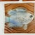 Set of 5 Natalie Surving Studios Fish Design Architectural Ceramic Tiles For Sale - Image 4 of 10