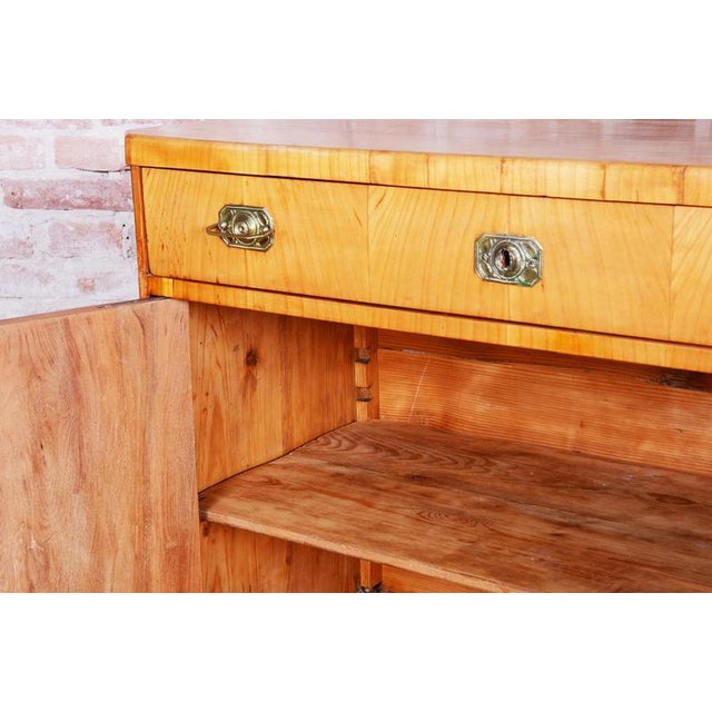 Biedermeier Cabinet in Cherry, Spruce & Ebony, Czech, 1820s For Sale - Image 12 of 18