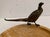 Marble Trinket Tray with Bronze Bird Decor, 20th Century For Sale - Image 3 of 7