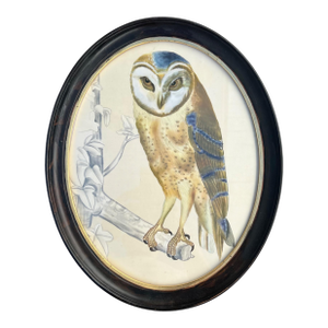 Vintage Original Owl Painting on Silk in Oval Frame