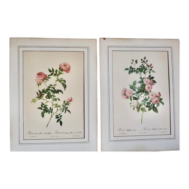 Vintage Lithographic Prints of Roses From Remond Paintings - A Pair For Sale