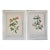 Vintage Lithographic Prints of Roses From Remond Paintings - A Pair For Sale
