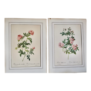 Vintage Lithographic Prints of Roses From Remond Paintings - A Pair