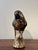 Mid 20th Century Vintage Tonalá Mexican Parrot Figurine, Coastal Modern Folk Art Ceramic For Sale - Image 5 of 8