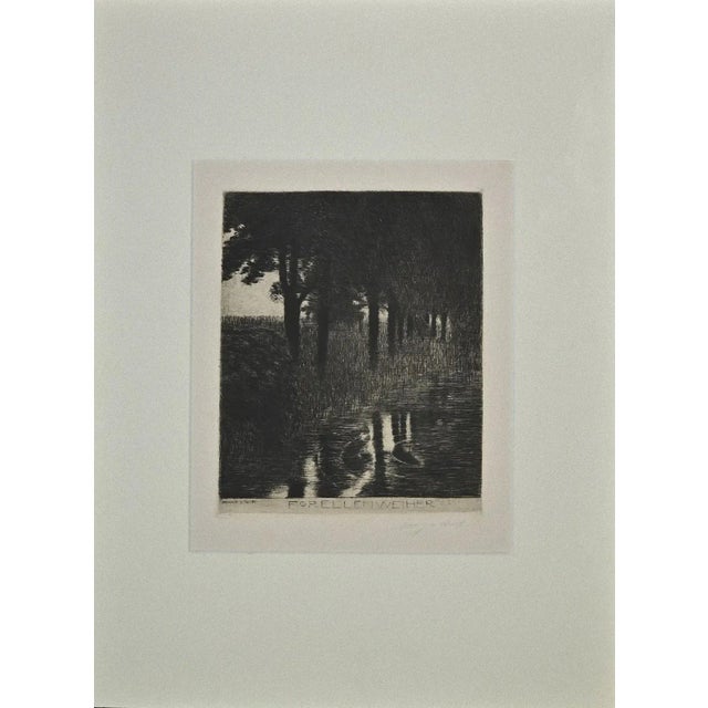 Forellenweiher is a wonderful black and white etching and drypoint on wide rod cream paper realized by Franz von Stuck in...