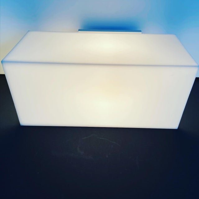 Mid-Century Modern 1960s Lightolier Lucite Flush Light For Sale - Image 3 of 12