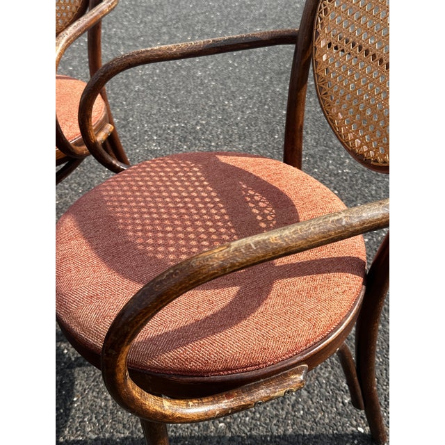 Blush 1950s Radomsko Cane Back Bentwood Dining Arm Chairs Set of Four For Sale - Image 8 of 12