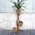 Elegant, well-crafted 1950s bamboo planter. It features three rattan planters, with a total height of 1 meter. In keeping...