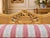 1960s French Artisan Louis XVI Gold Beech Cane Settee For Sale - Image 4 of 8