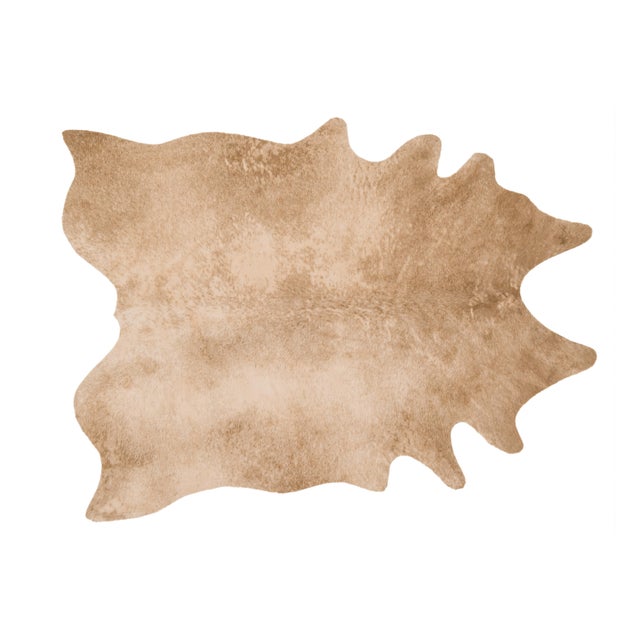 Loloi Rugs Loloi Rugs Grand Canyon Rug, Tan - 6'2"x8' For Sale - Image 4 of 4