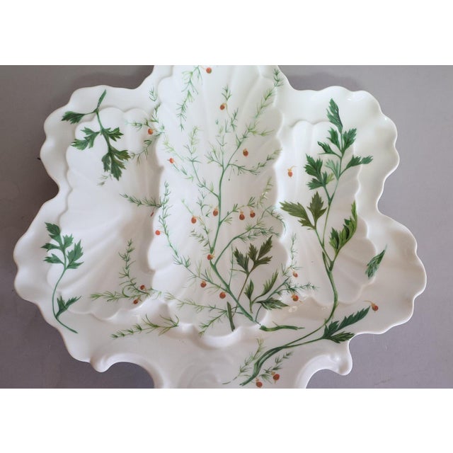 Limoges, France Vintage French Limoges Botanical Oyster Serving Plate For Sale - Image 4 of 5