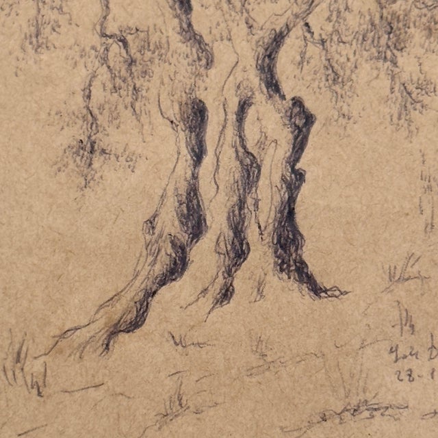 Ivory Vintage Original Italian Pen and Ink Drawing Ancient Gnarled Tree Signed 1993 For Sale - Image 8 of 12