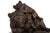 Brown French Antique Bronze Sculpture “Family of Bears” by Delabrierre For Sale - Image 8 of 18