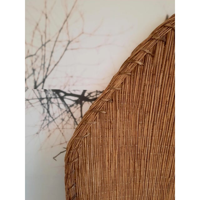 1st Half 20th Century African Massa Ceremonial Wicker Shield, Cameroon / Chad For Sale - Image 4 of 6