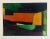 Abstract Modernist Colorful Bold Monoprint Monotype Painting Print Pierre Obando, 1997 For Sale