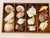 Nature’s Beauty coastal marine sea shells collection in an antique box tray.