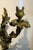 Bronze Antique Pair French 19th Century Louis XV Gilt Bronze Two Light Wall Sconces For Sale - Image 8 of 18