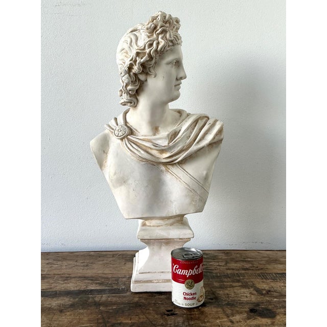 Ceramic Apollo Belvedere Bust Sculpture For Sale - Image 18 of 18