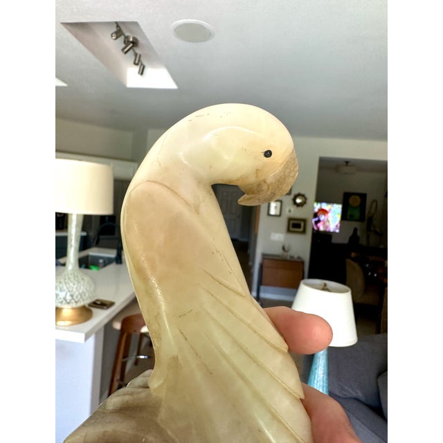 Pair Italian Alabaster Parrot Bird Sculptures - Mid Century For Sale - Image 11 of 18