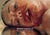 Jenny Saville Reverse Official Exhibition Poster Publisher: National Portrait Gallery London Dimensions: 27 x 19 in / 70 x...