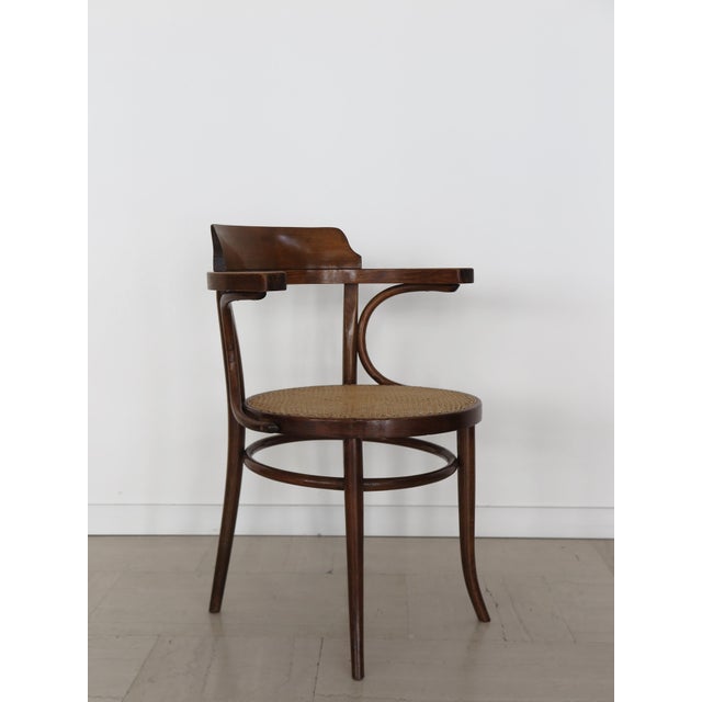 Vintage Chairs by Michael Thonet for Thonet, 1930s, Set of 6 For Sale - Image 9 of 18