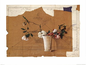 Wolfgang Zelmer, Rose e Cubo, Print