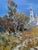 2020s Oil Painting the Moonlight Illuminates Yuriy Suprunchuk For Sale - Image 5 of 12