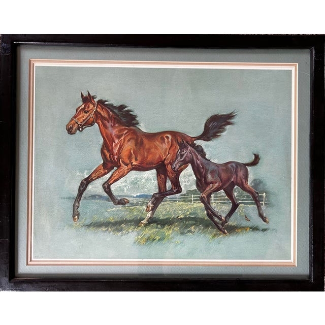 Vintage 1961 Framed Print of a Horse Running With Colt For Sale - Image 4 of 8