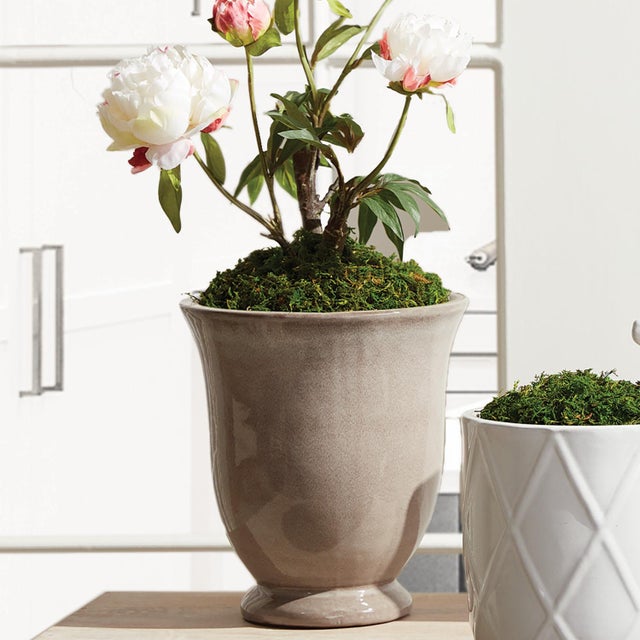 This set of earthenware pots are designed for the outdoors, but are equally as beautiful indoors. From the depth of the...