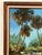 Wood Large Vintage Florida Landscape Painting by M. Winslow For Sale - Image 7 of 11