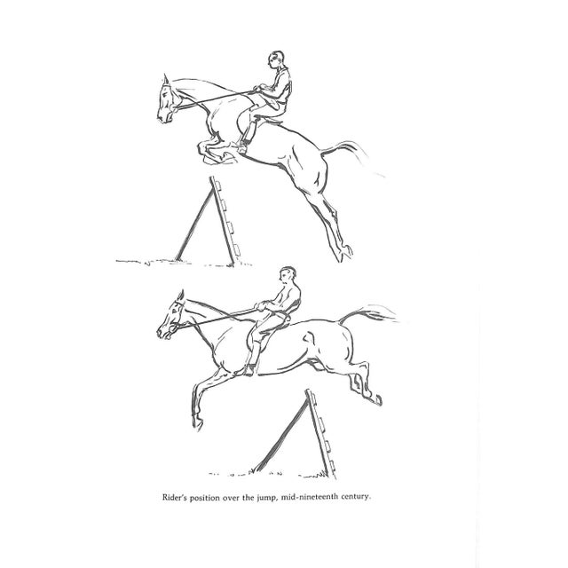"De Nemethy Method: Modern Techniques for Training the Show Jumper and Its Rider" 1988 De Nemethy, Bertalan For Sale - Image 12 of 13