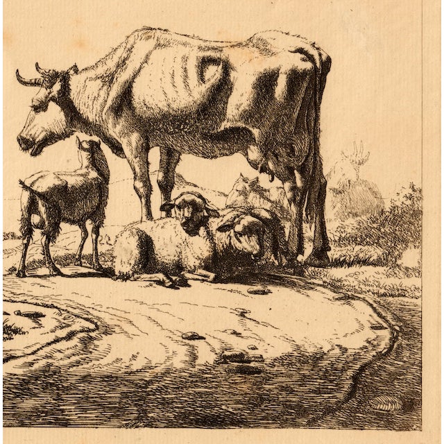 18th Century Adriaen Van De Velde Old Master Etching of a Golden Age Pastoral Scene W/ Watermark & Collector's Mark For Sale - Image 5 of 12