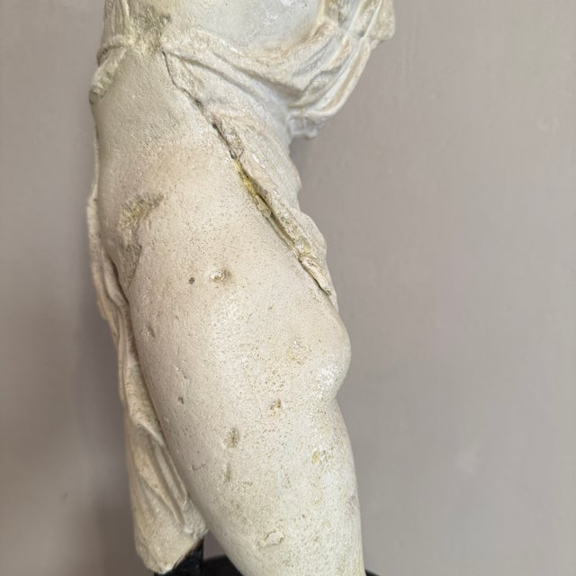 Museum Sculpture of Dancing Maenad after the Kunsthalle Kiel Original, 1930, Plaster For Sale - Image 12 of 14