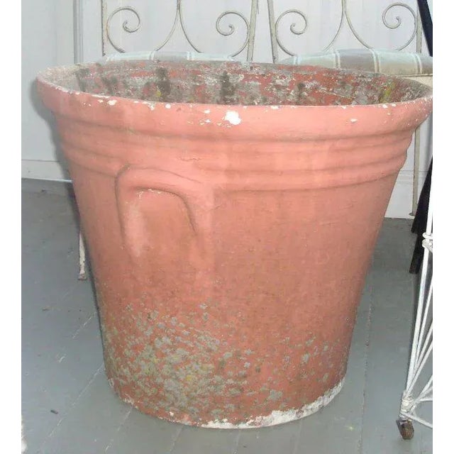 Sculpture Materials Vintage 1940's Watts Concrete Terra Cotta Finish Palm Beach Flower Palm Tree Pot For Sale - Image 7 of 8