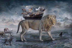 Noah - the Lions Heart by Marcin Owczarek | Photography of a lion with an ark and animals