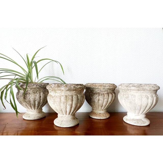 Set of four gray reconstituted stone planters, shaped like antique Medici vases. In very good condition, with a beautiful...