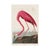 Audubon Flamingo & Heron Set, Vintage Art Print Reproductions, 24″ × 36″ For Sale In Buffalo - Image 6 of 10