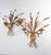 1970s Italian Gilt Metal Wall Sconces with Leaves and Ears of Wheat, 1960s, Set of 2 For Sale - Image 5 of 7