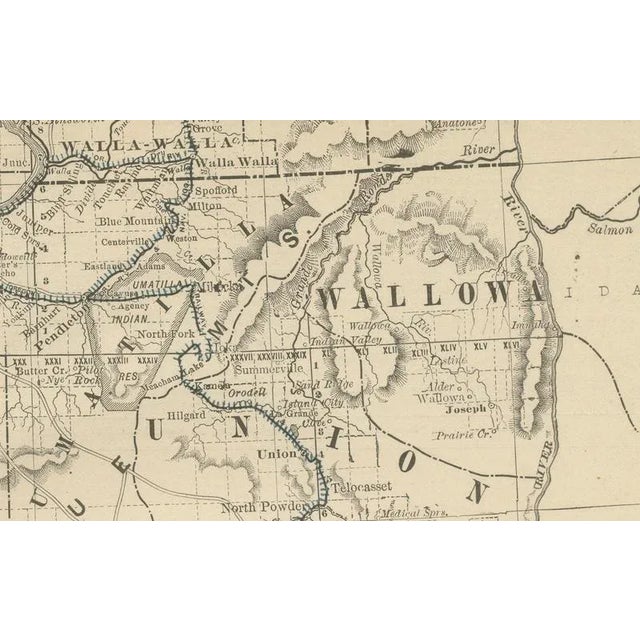 Black Antique Map of Oregon Railroads with Counties and Native Indian Reservations, 1888 For Sale - Image 8 of 10