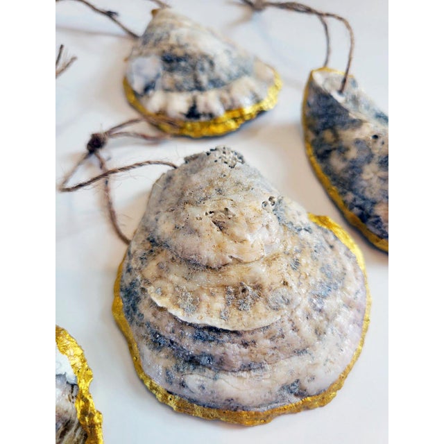 Shell Contemporary Gilded Rimmed Oyster Shell Ornaments- Set of 6 For Sale - Image 7 of 8