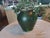 Vintage French Provence Green Glaze Gargoulette/Pottery Jug For Sale - Image 10 of 10