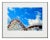 "Roller Coaster With Palms 1" - Santa Cruz Beach Boardwalk Color Photograph by Deborah Eddy For Sale In Monterey, CA - Image 6 of 6