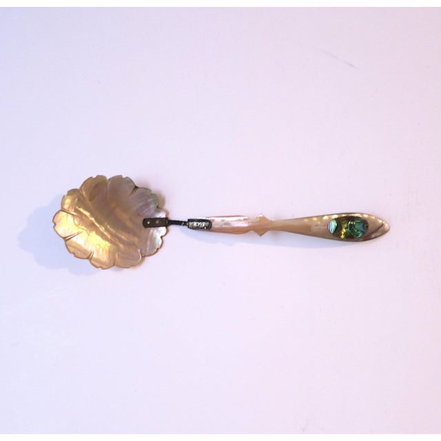 Mother of Pearl Spoon Caviar, Victorian Period For Sale - Image 4 of 9