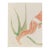 James Bone Double Sided Male Nude Painting For Sale